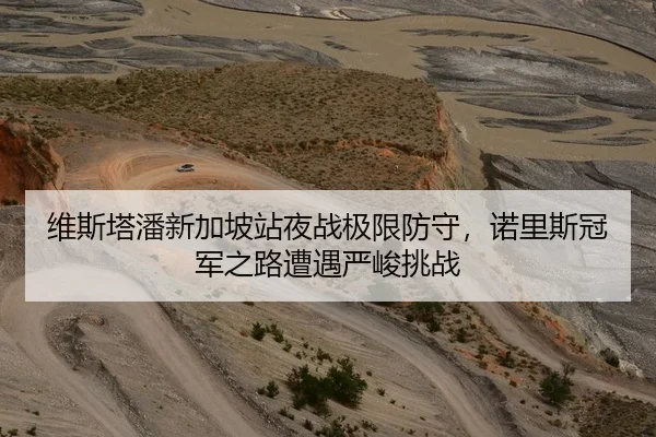 维斯塔潘新加坡站夜战极限防守，诺里斯冠军之路遭遇严峻挑战