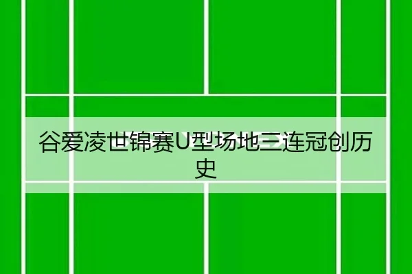 gu-ai-ling-shi-jin-sai-xing-chang-di-san-lian-guan-chuang-li-shi-2-611.jpg